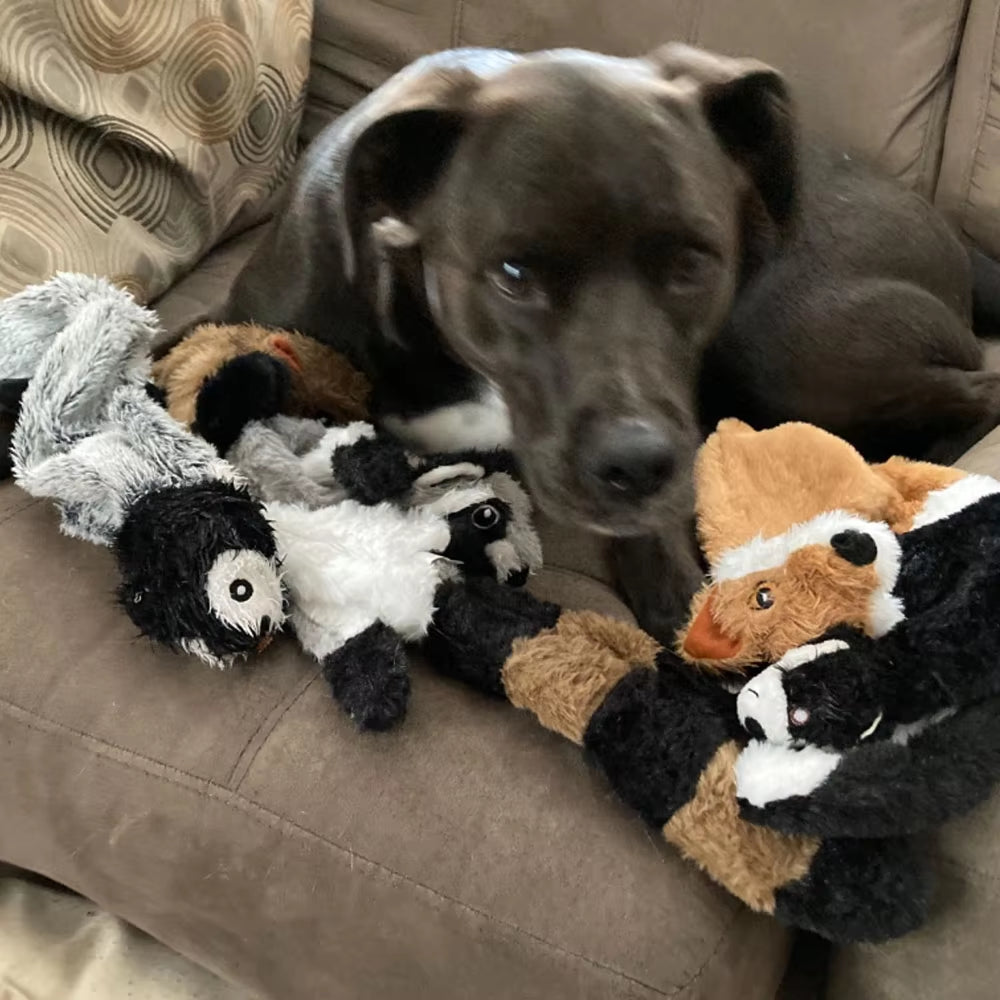 Durable Stuffingless Plush Dog Toy with Squeakers and Crinkle Sound