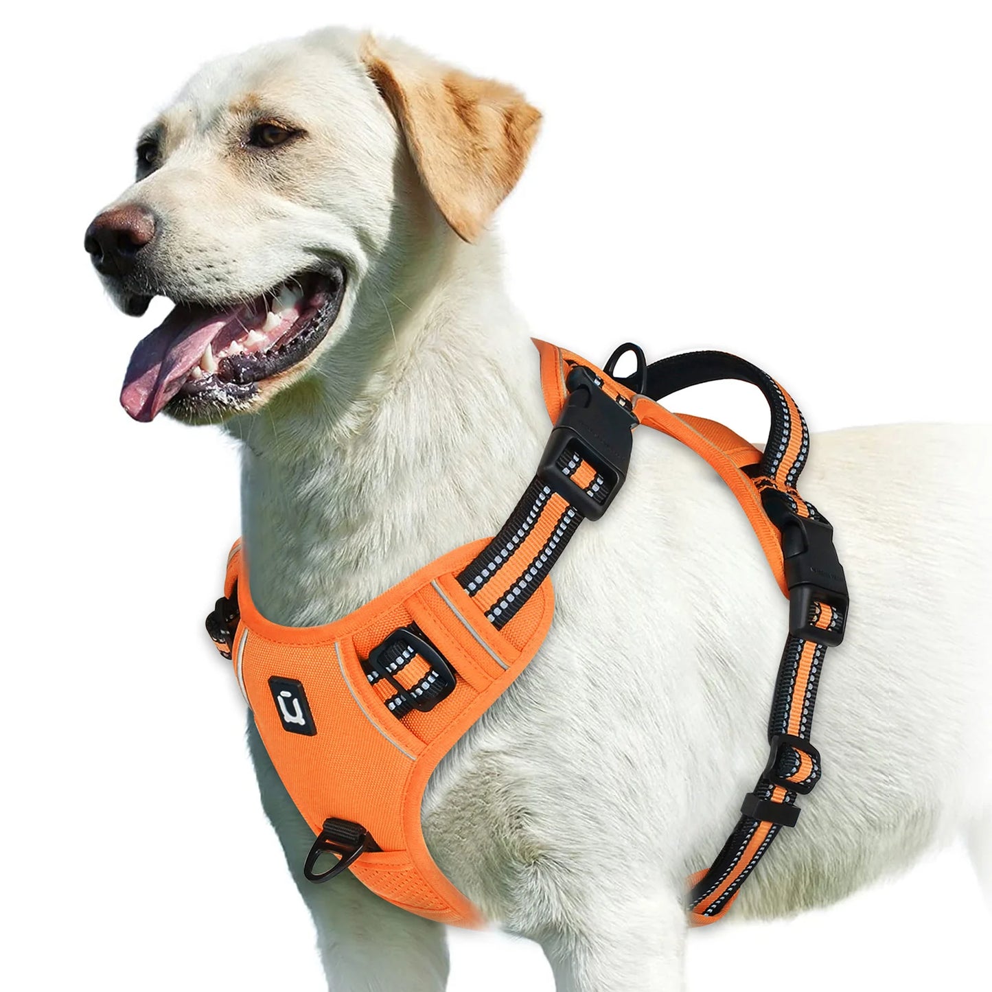 Adjustable Soft Padded No-Pull Dog Harness with Control Handle