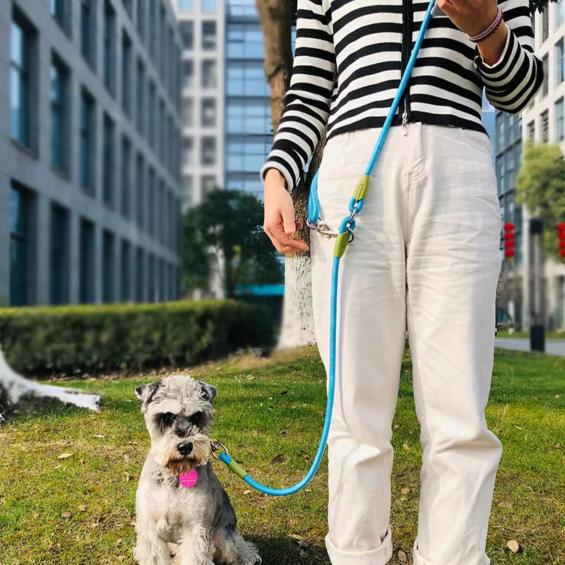 Reflective Nylon Dog Leashes - Hands-Free Traction Rope for Running and Walking Small to Large Dogs