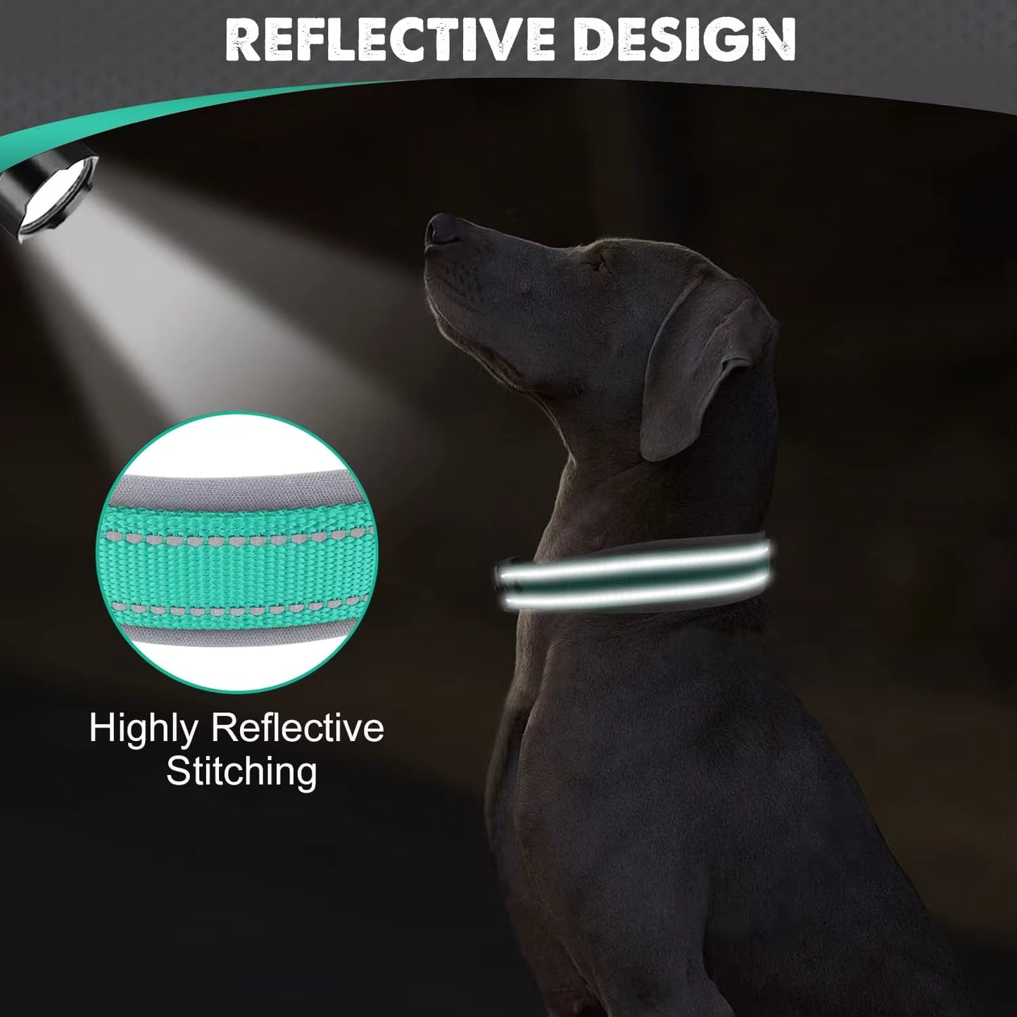 Reflective Padded Dog Collars for All Sizes - Adjustable Heavy-Duty Nylon and Neoprene Design