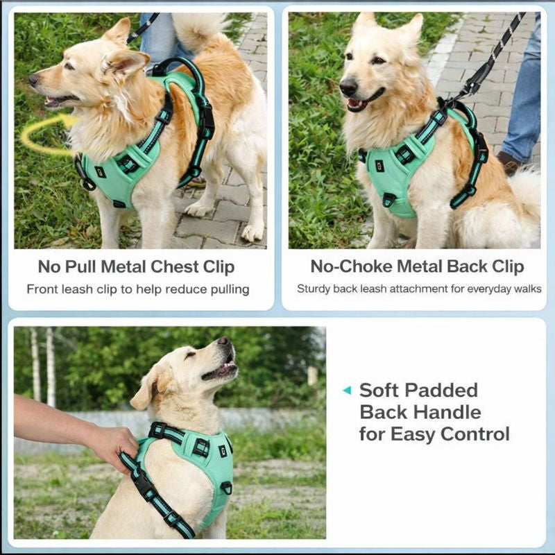 Adjustable Soft Padded No-Pull Dog Harness with Control Handle