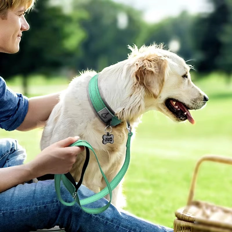 Reflective Padded Dog Collars for All Sizes - Adjustable Heavy-Duty Nylon and Neoprene Design