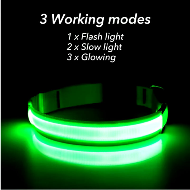 USB Rechargeable LED Glowing Pet Collar - Adjustable Luminous Safety Harness for Dogs and Cats